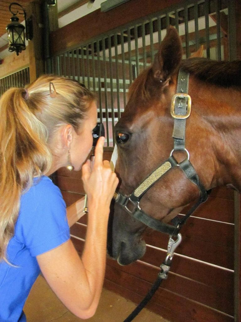 Fall Vaccinations